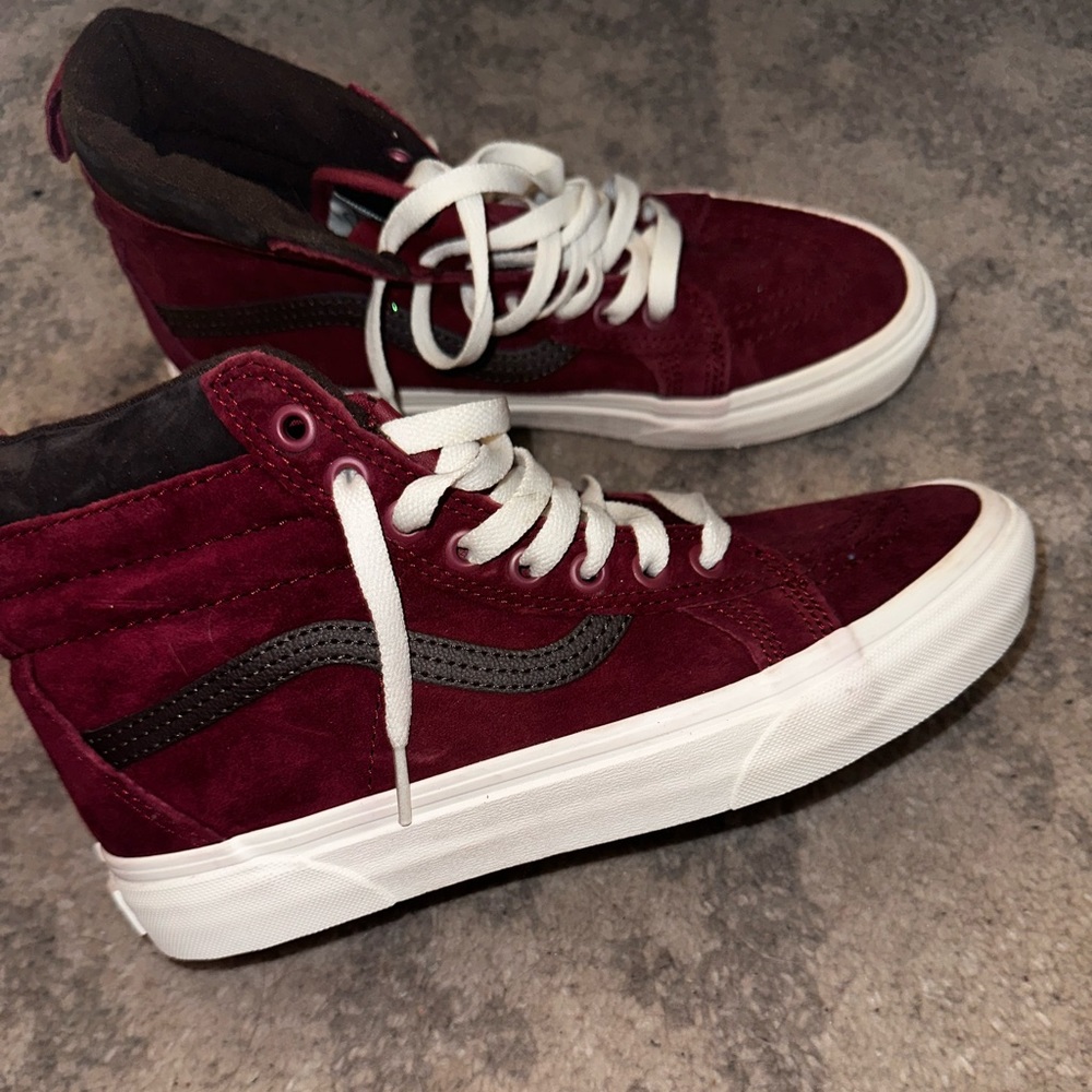 Vans Skate Shoes